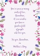 Grandmother-Seeds-of-Love